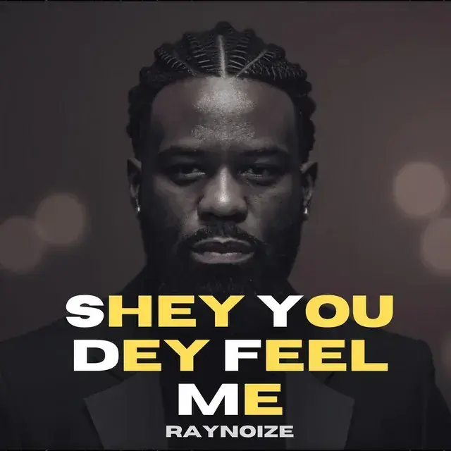 Shey You Dey Feel Me – Afrobeat Club Banger — cover art