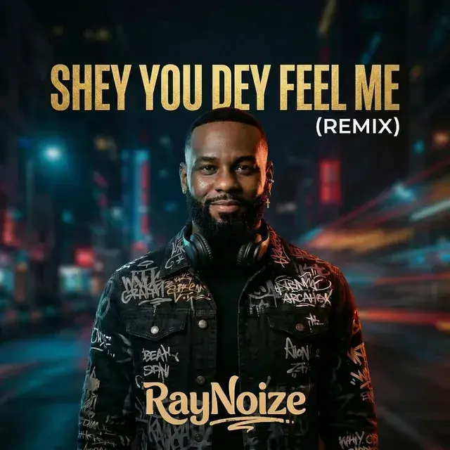 Shey You Dey Feel Me (Remix) — cover art